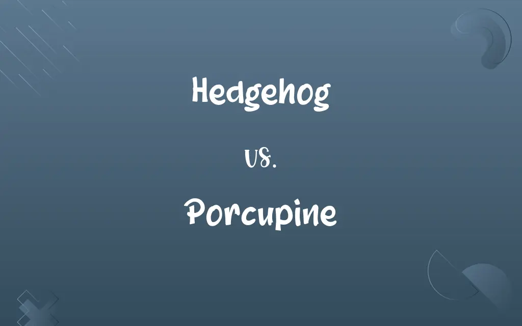 Hedgehog vs. Porcupine