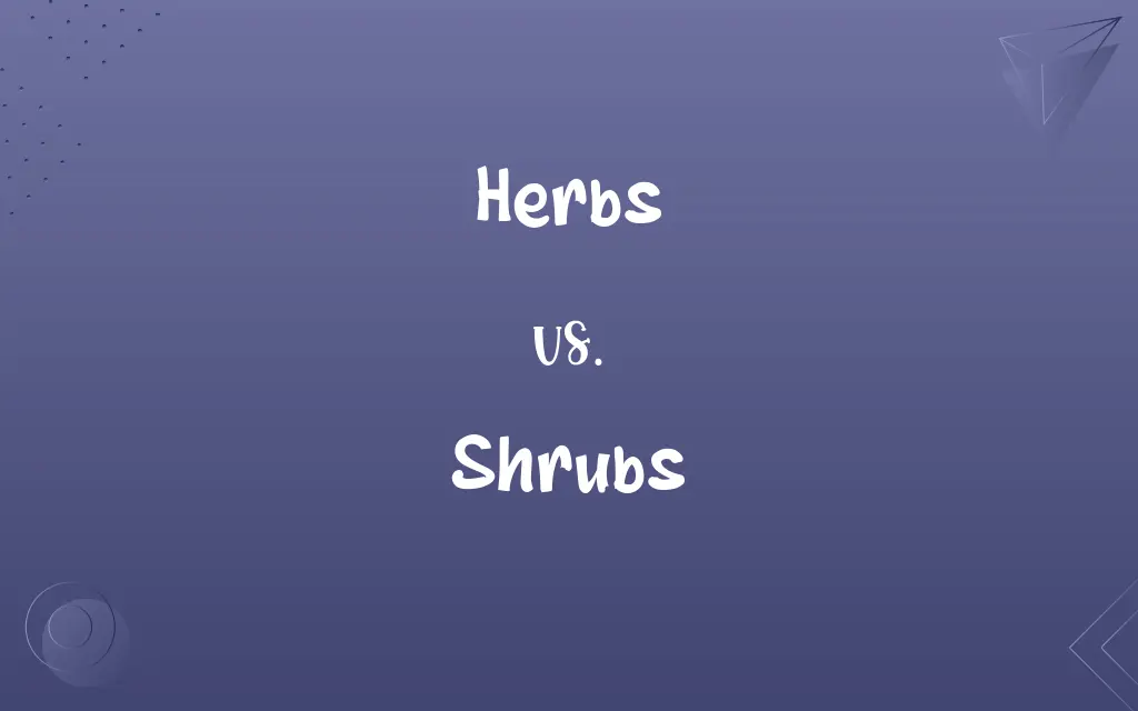 Herbs vs. Shrubs