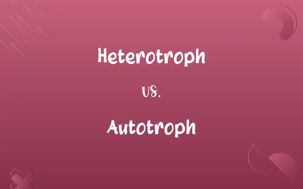 Heterotroph vs. Autotroph