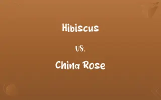 Hibiscus vs. China Rose