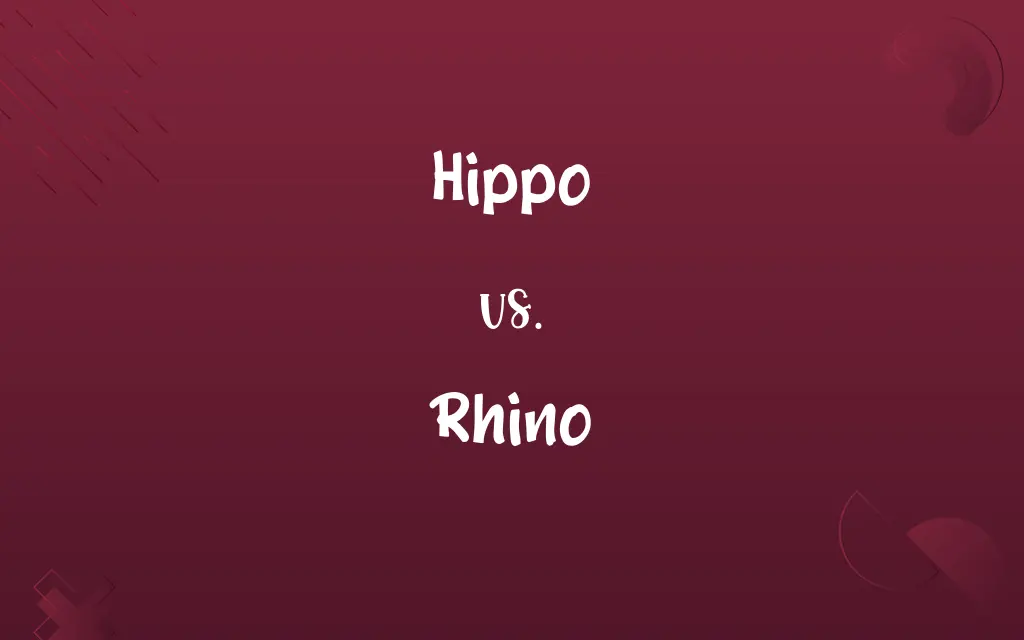 Hippo vs. Rhino