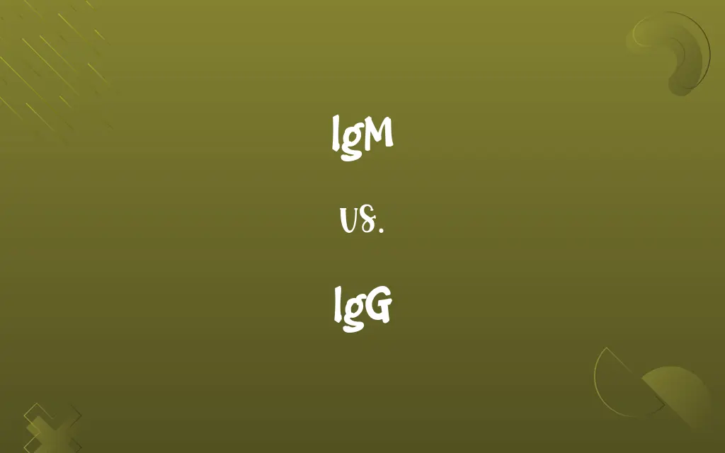 IgM vs. IgG