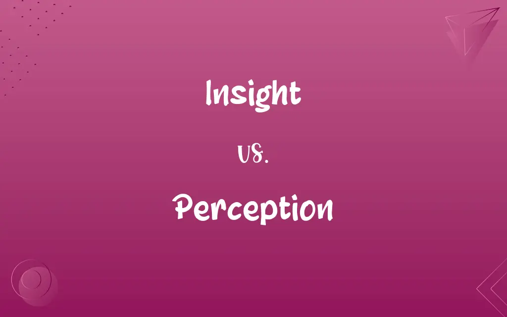 Insight vs. Perception