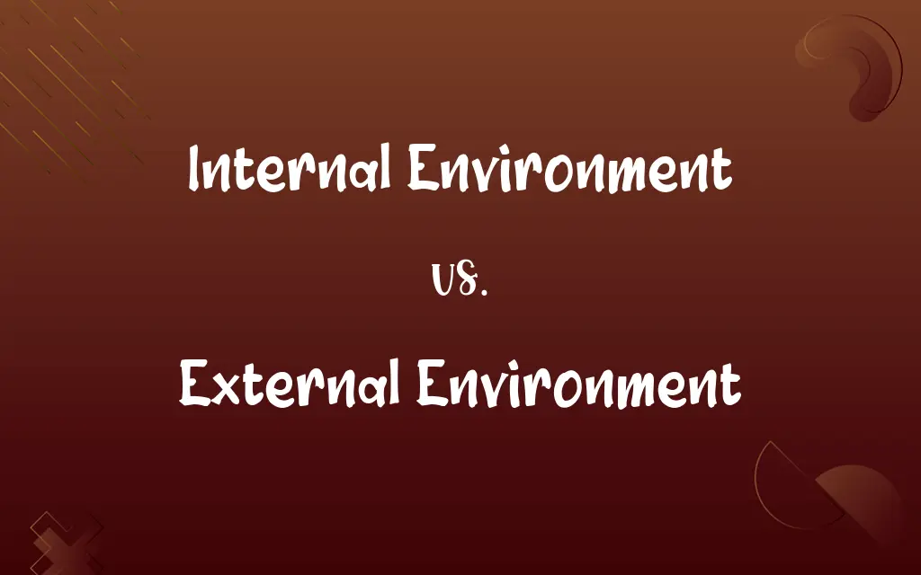 Internal Environment vs. External Environment