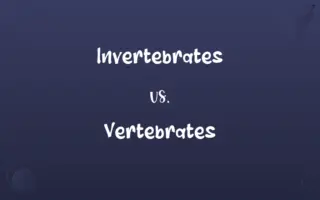 Invertebrates vs. Vertebrates