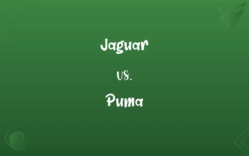Jaguar vs. Puma