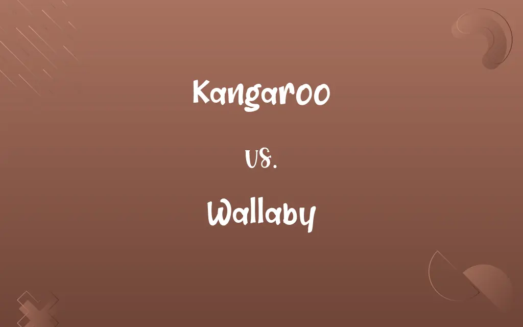 Kangaroo vs. Wallaby