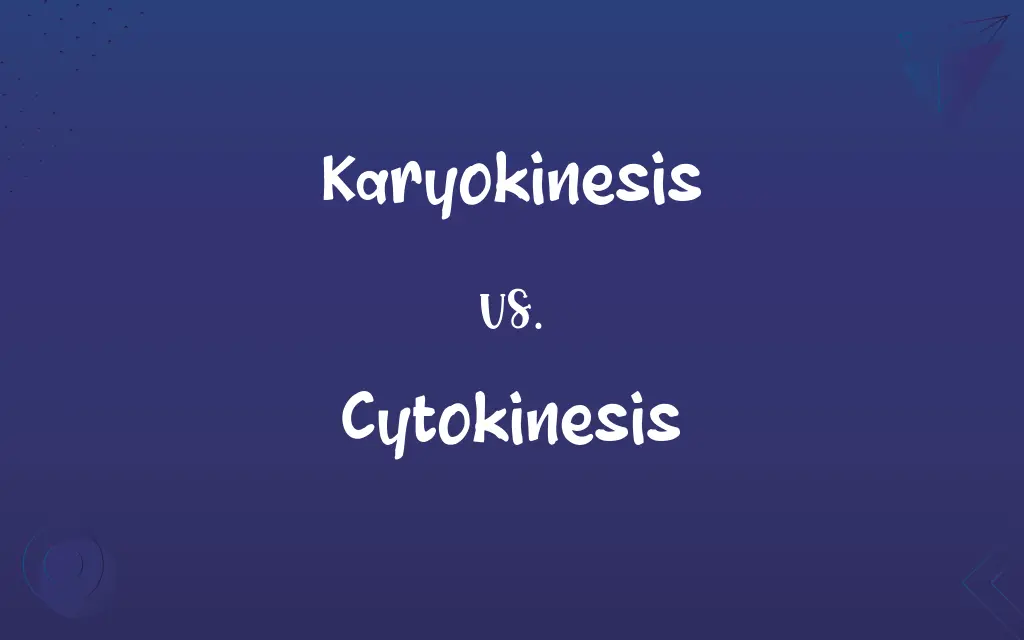 Karyokinesis vs. Cytokinesis