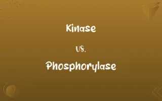 Kinase vs. Phosphorylase