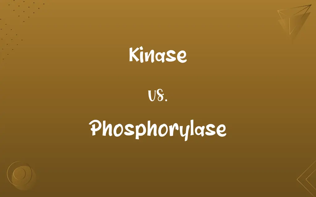 Kinase vs. Phosphorylase