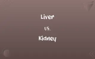Liver vs. Kidney