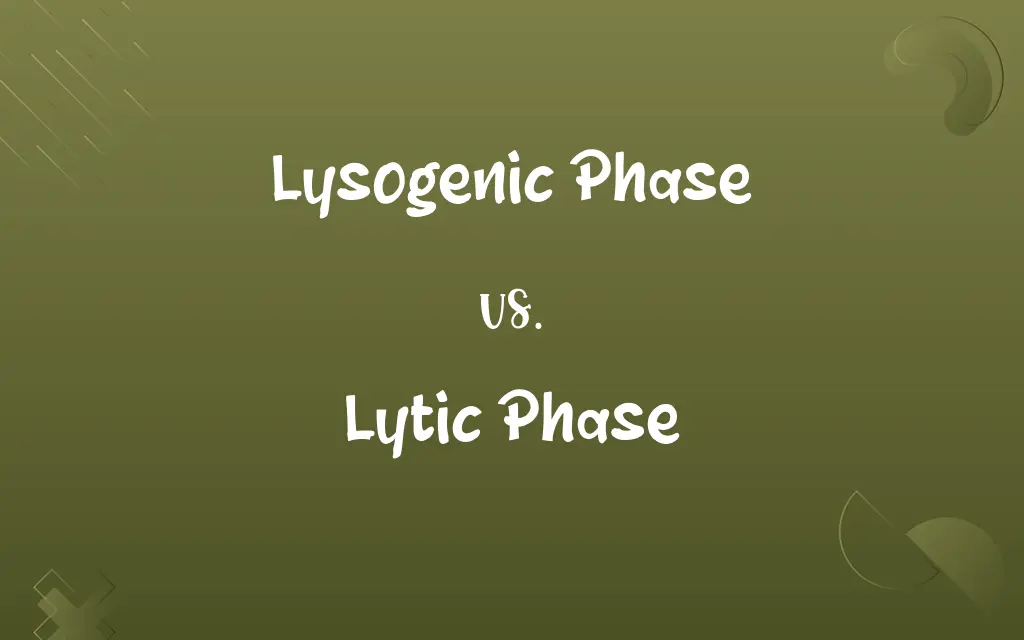 Lysogenic Phase vs. Lytic Phase