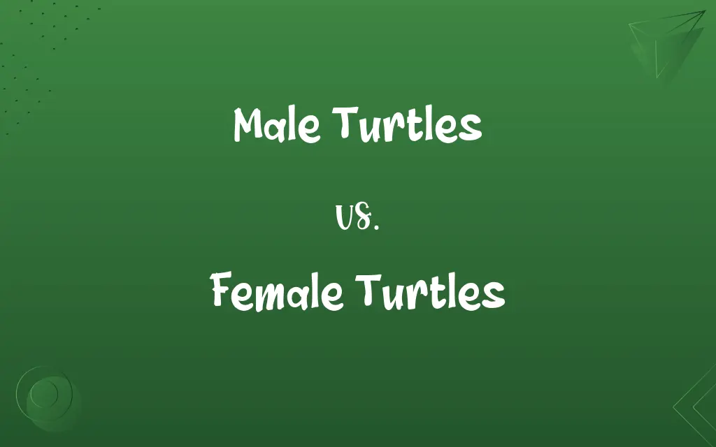 Male Turtles vs. Female Turtles
