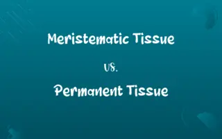 Meristematic Tissue vs. Permanent Tissue