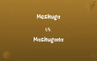 Meshuga vs. Mashugana