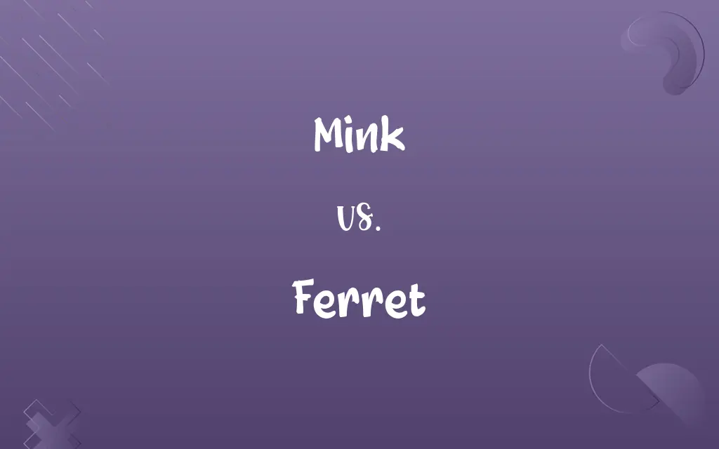 Mink vs. Ferret