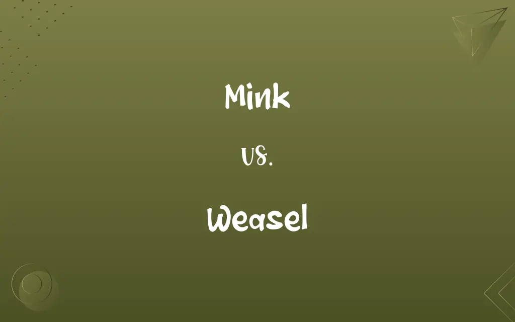 Mink vs. Weasel