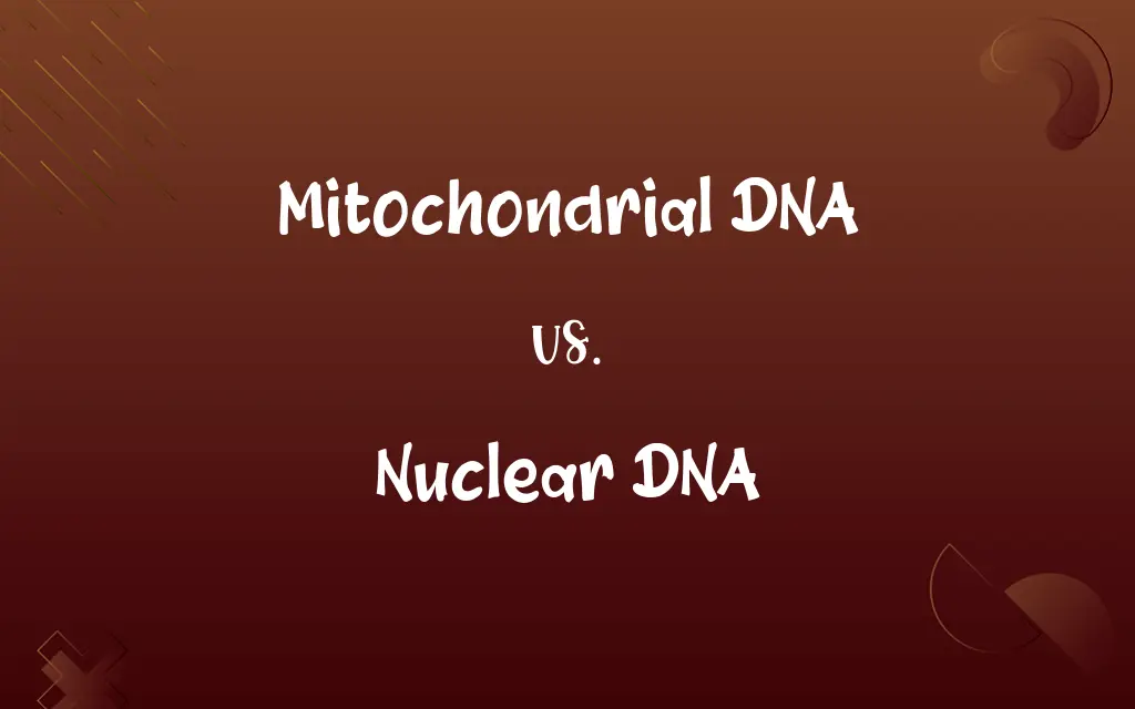 Mitochondrial DNA vs. Nuclear DNA