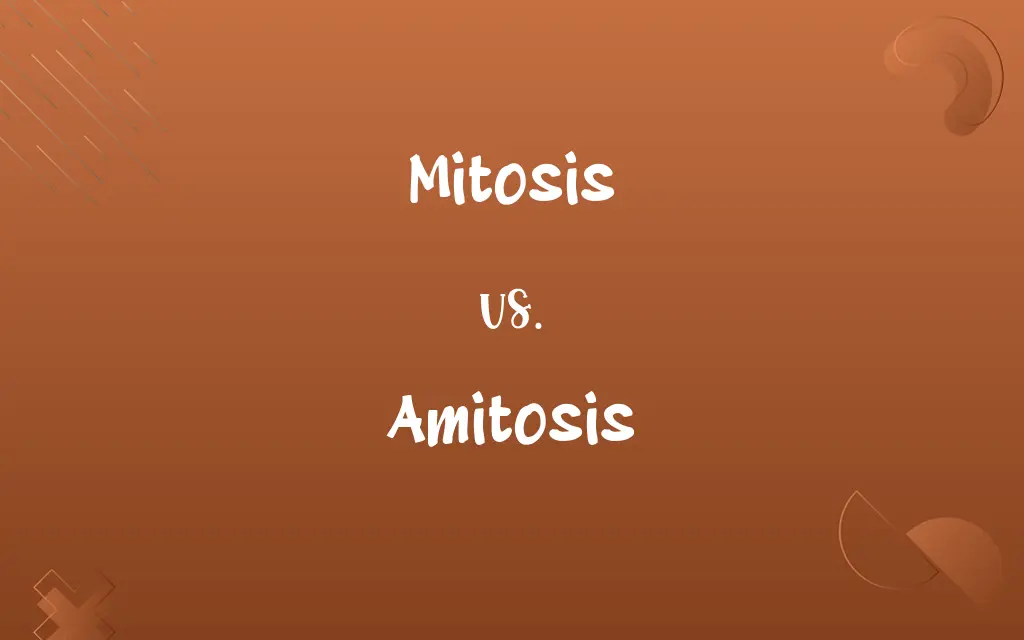 Mitosis vs. Amitosis