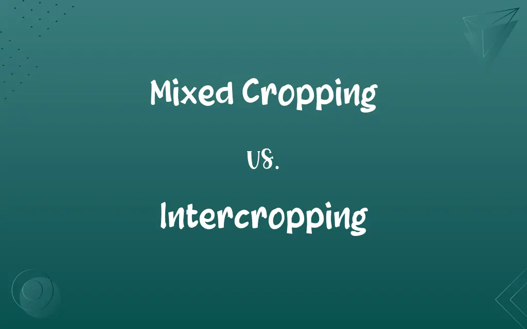 Mixed Cropping vs. Intercropping