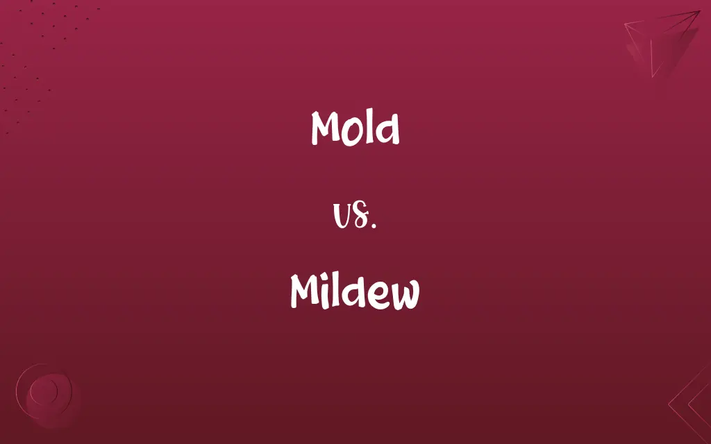 Mold vs. Mildew