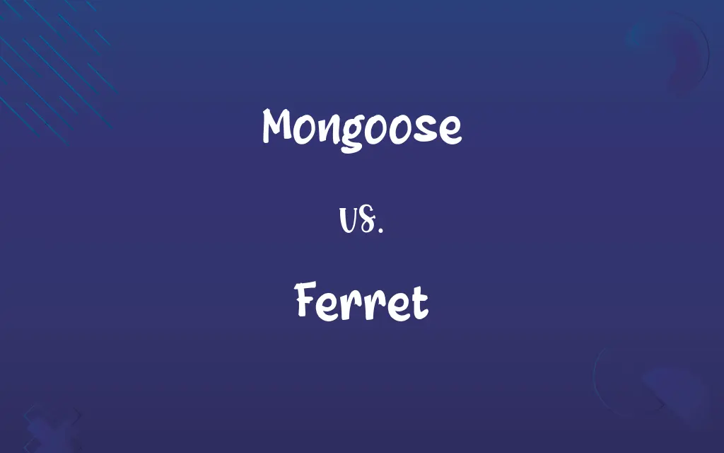 Mongoose vs. Ferret
