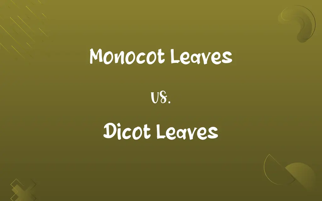 Monocot Leaves vs. Dicot Leaves