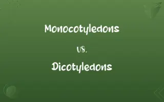 Monocotyledons vs. Dicotyledons
