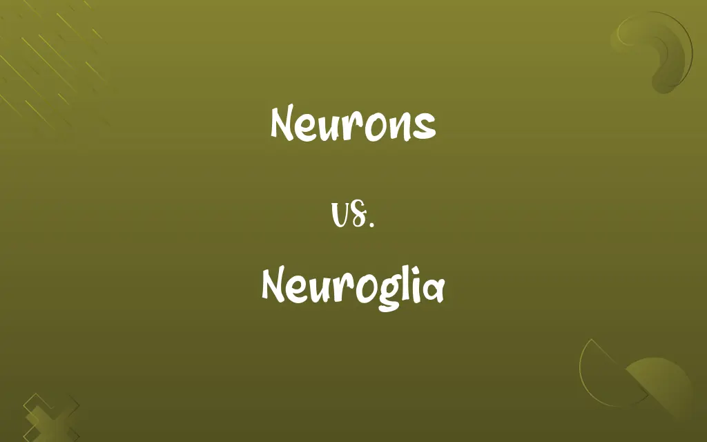 Neurons vs. Neuroglia