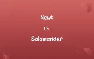 Newt vs. Salamander
