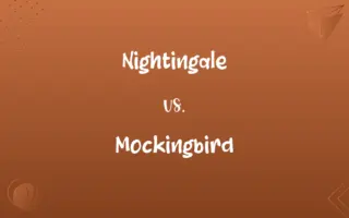 Nightingale vs. Mockingbird