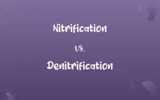 Nitrification vs. Denitrification