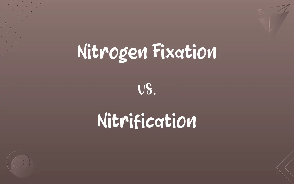 Nitrogen Fixation vs. Nitrification