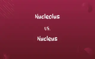Nucleolus vs. Nucleus