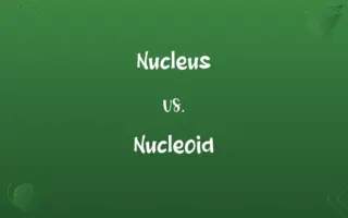 Nucleus vs. Nucleoid