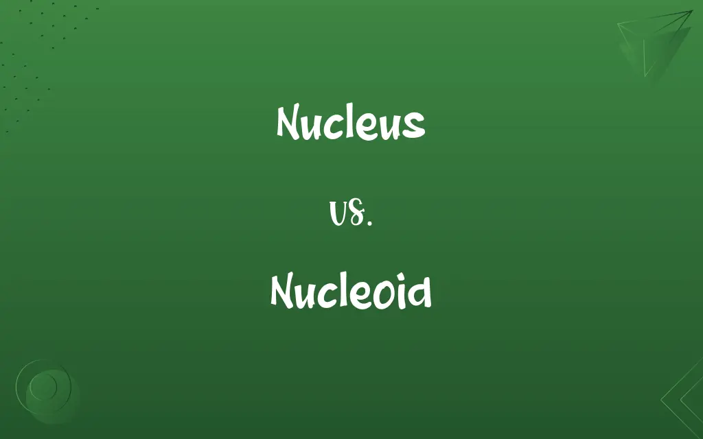 Nucleus vs. Nucleoid