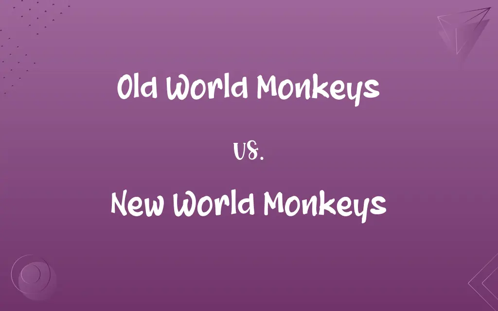 Old World Monkeys vs. New World Monkeys