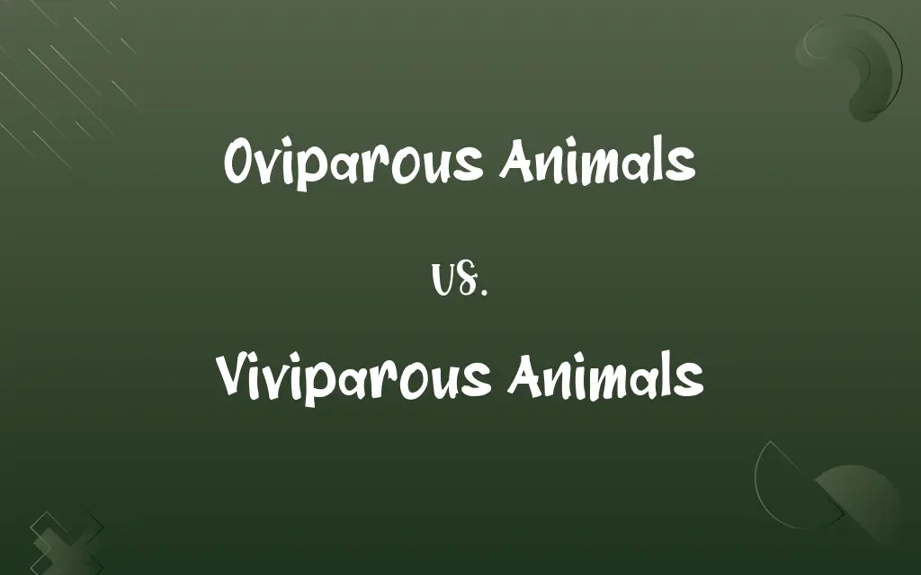 Oviparous Animals vs. Viviparous Animals