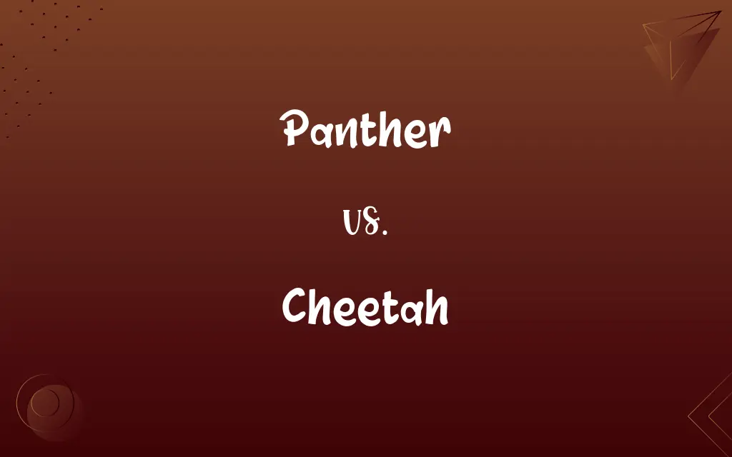 Panther vs. Cheetah