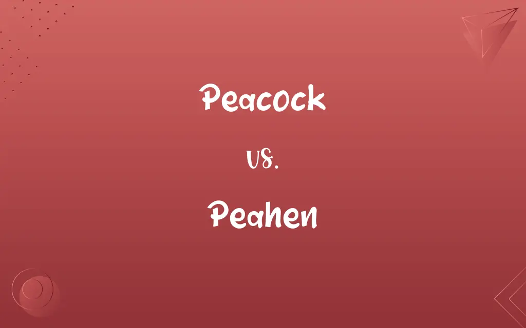 Peacock vs. Peahen