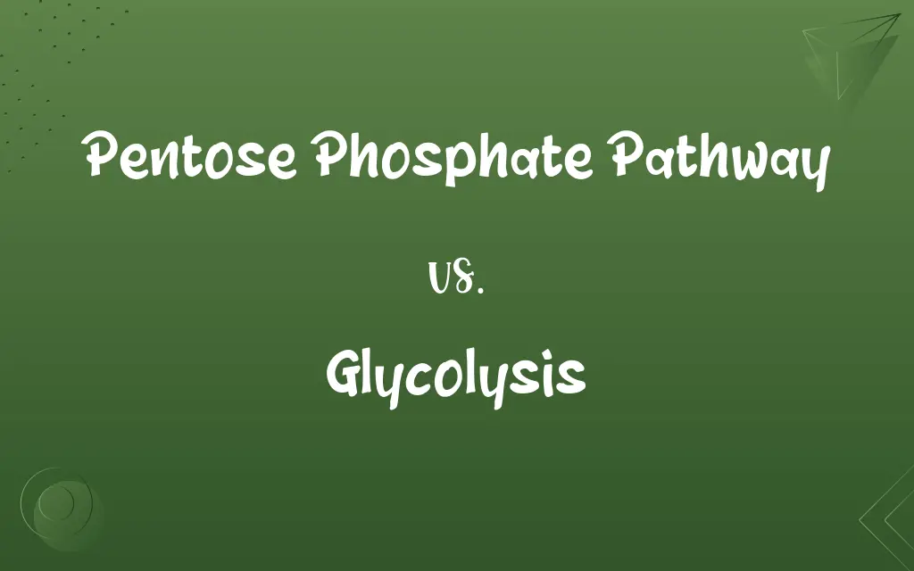 Pentose Phosphate Pathway vs. Glycolysis