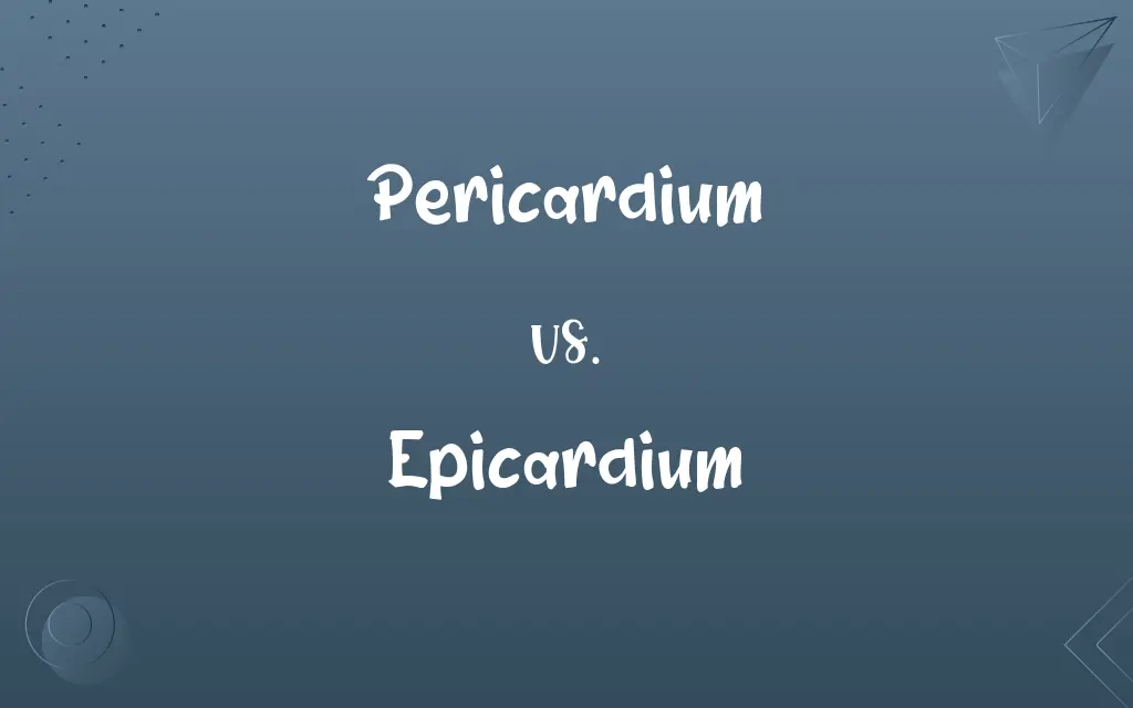 Pericardium vs. Epicardium