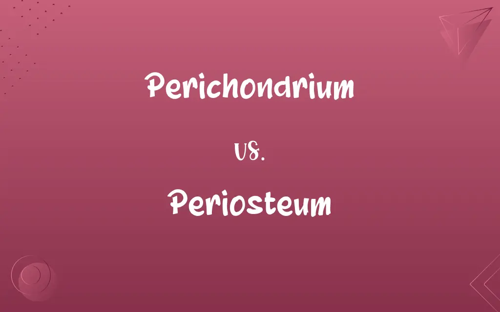 Perichondrium vs. Periosteum