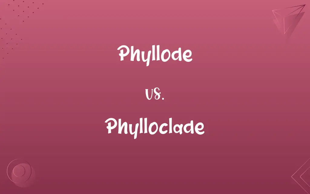 Phyllode vs. Phylloclade