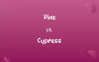 Pine vs. Cypress