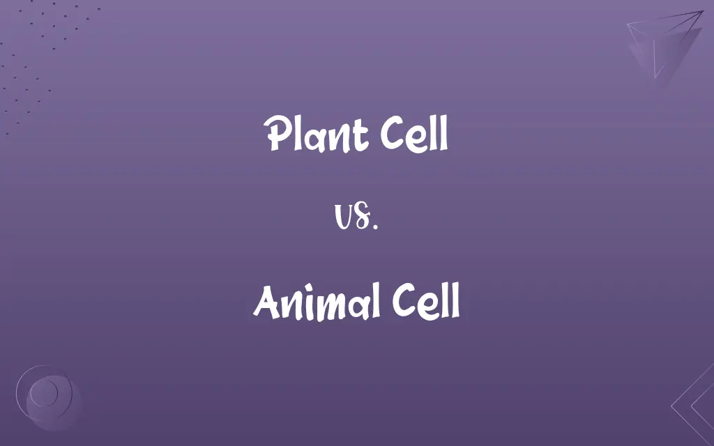 Plant Cell vs. Animal Cell