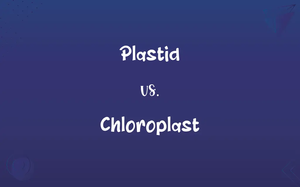 Plastid vs. Chloroplast