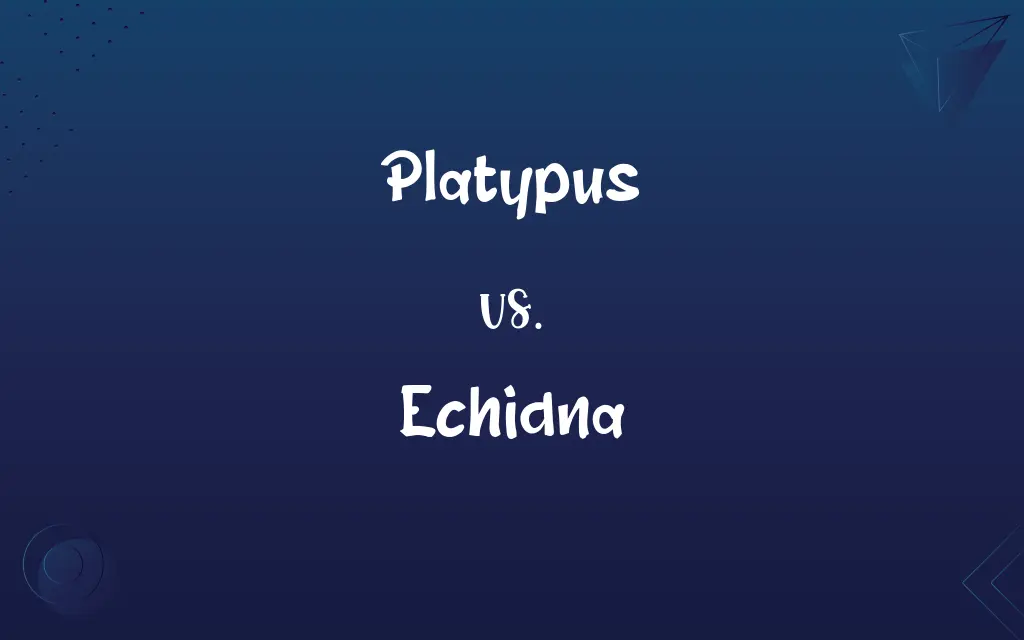 Platypus vs. Echidna