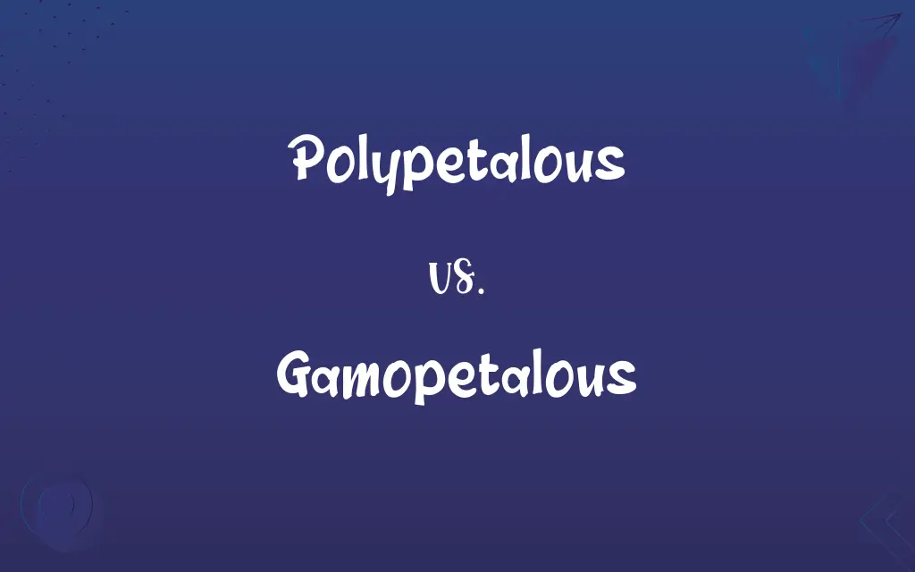 Polypetalous vs. Gamopetalous