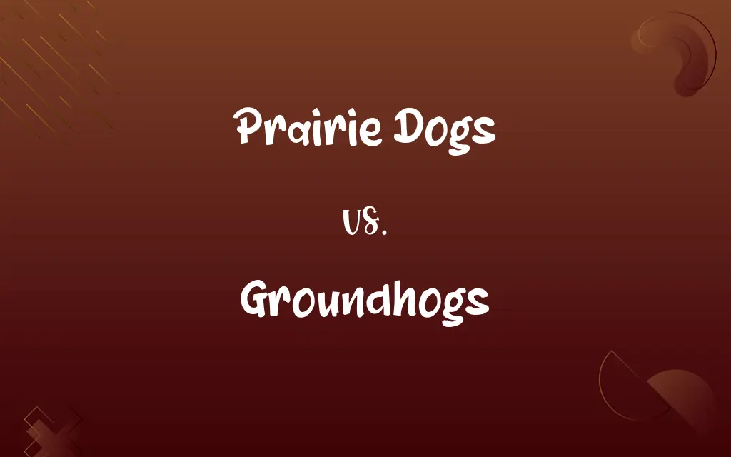 Prairie Dogs vs. Groundhogs